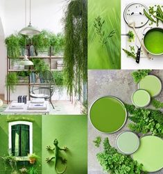 2017 Color of the Year – Greenery!