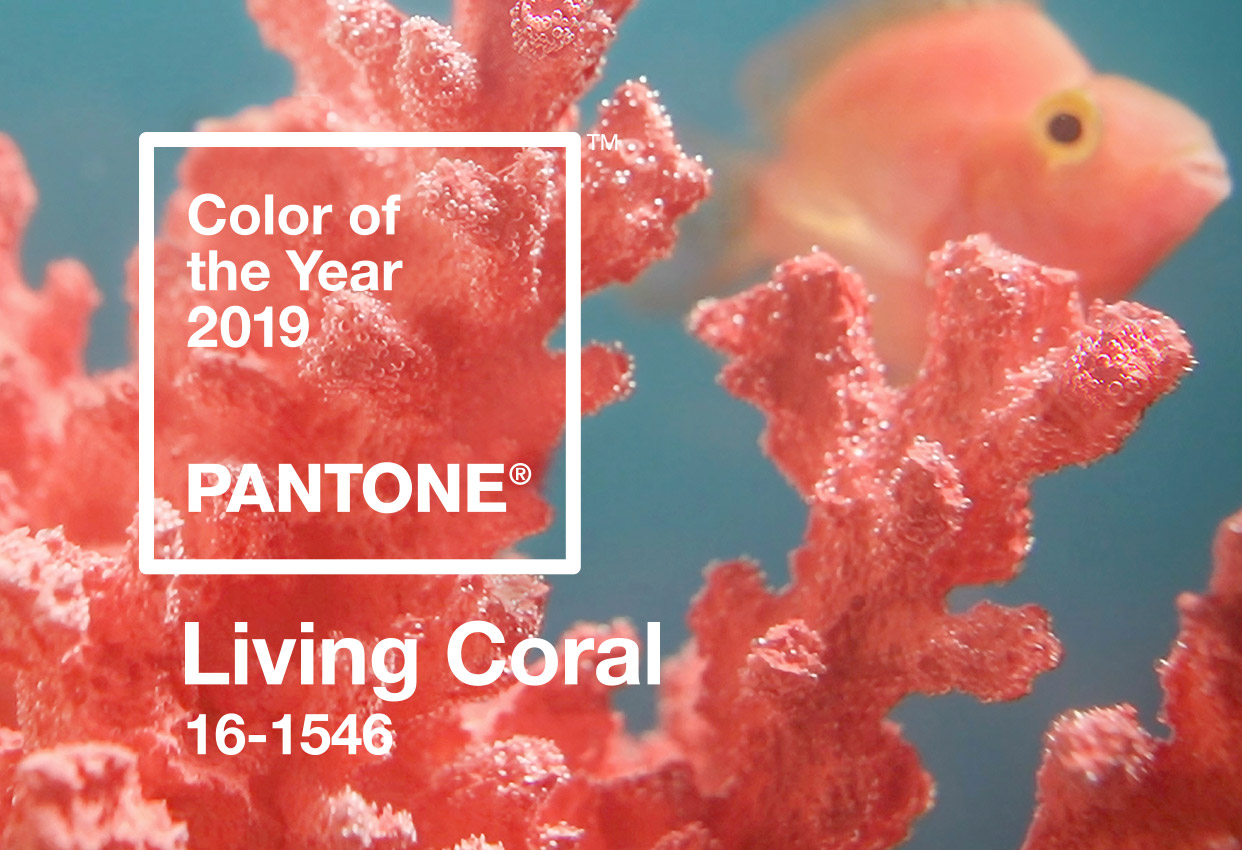 2019 Pantone Color of the Year – Living Coral!