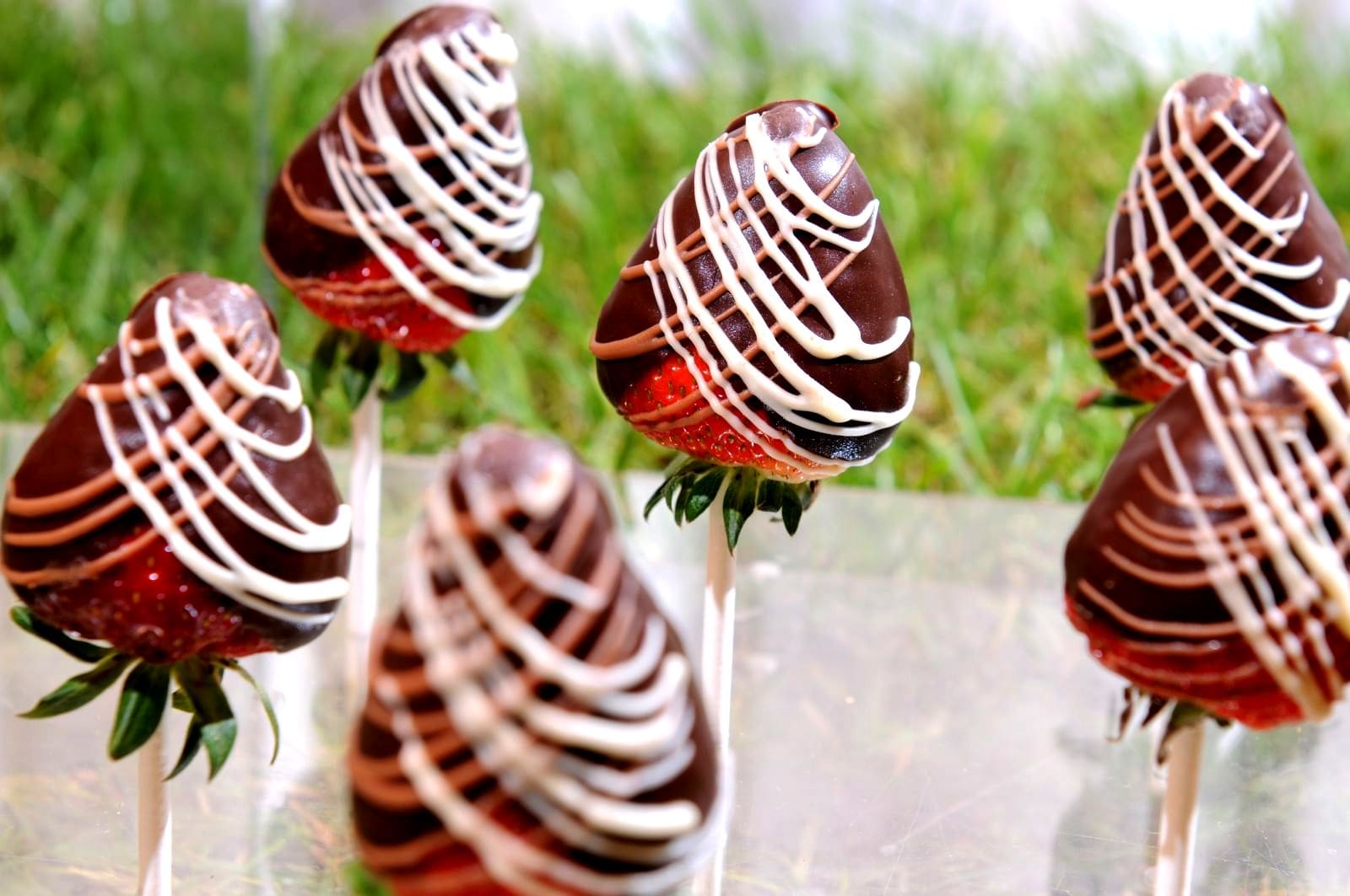 chocolate covered strawberries on a stick