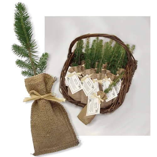 Christmas tree corporate event gift