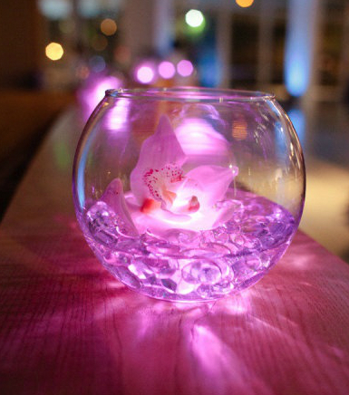 bright_ideas_events_led_glowing_orchid_centerpiece_cropped